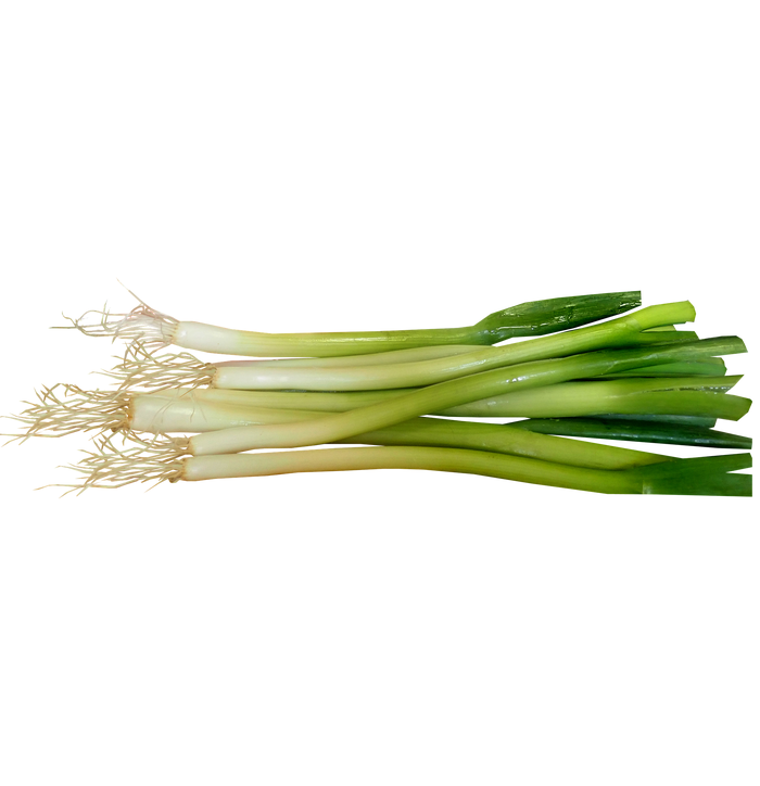 Dag Vers Spring Onion  100 g image