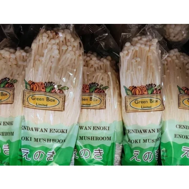 25677264 enoki mushrooms 9a23c4538470f61c kuva